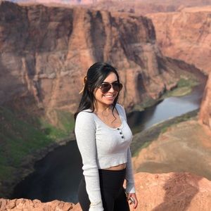 Cropped grey long sleeve shirt, American eagle